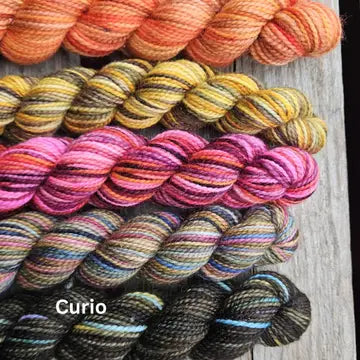 Koigu 2024 - Lys Day Paint Can