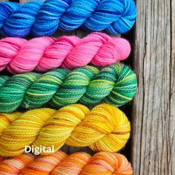 Koigu 2024 - Lys Day Paint Can